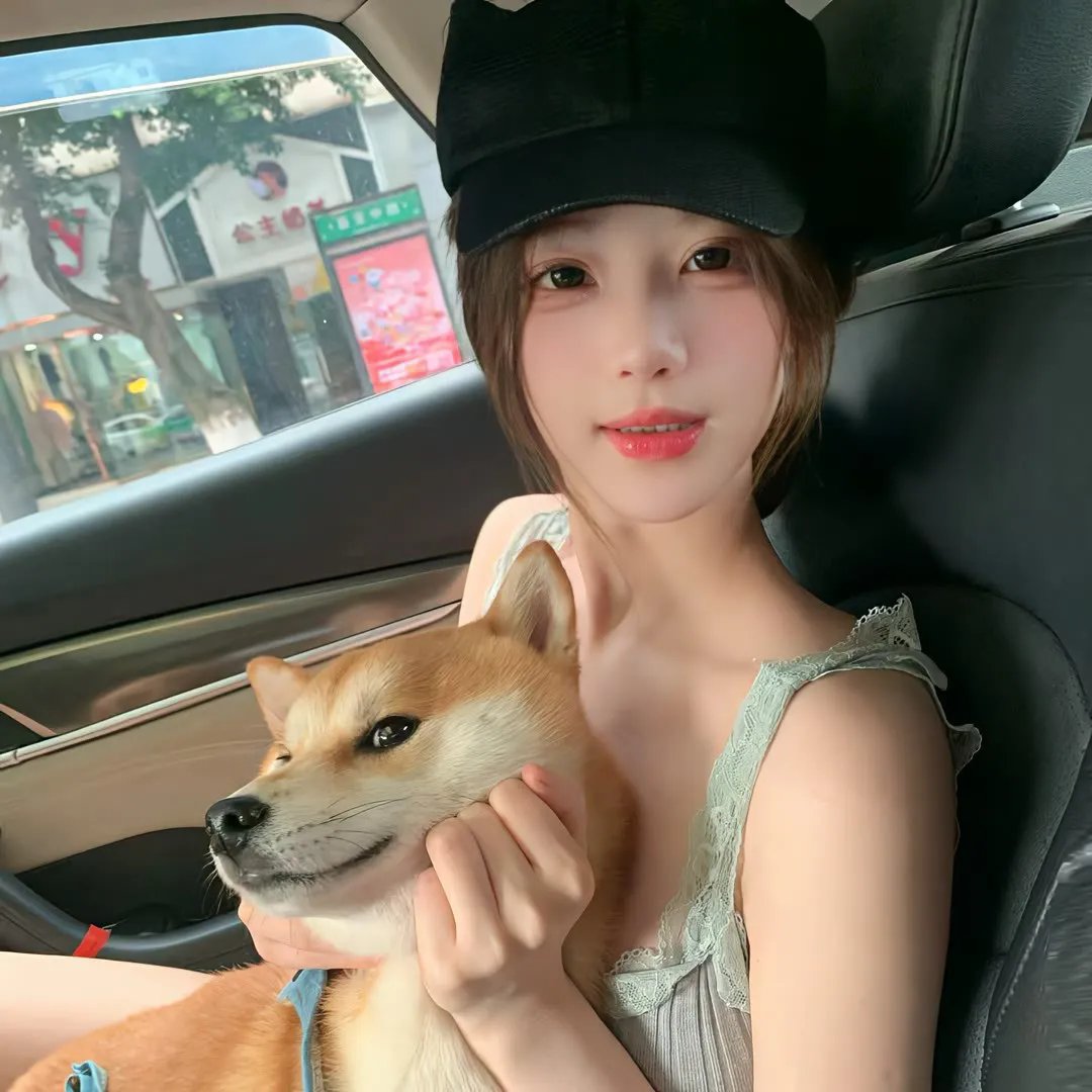 监狱犬计划